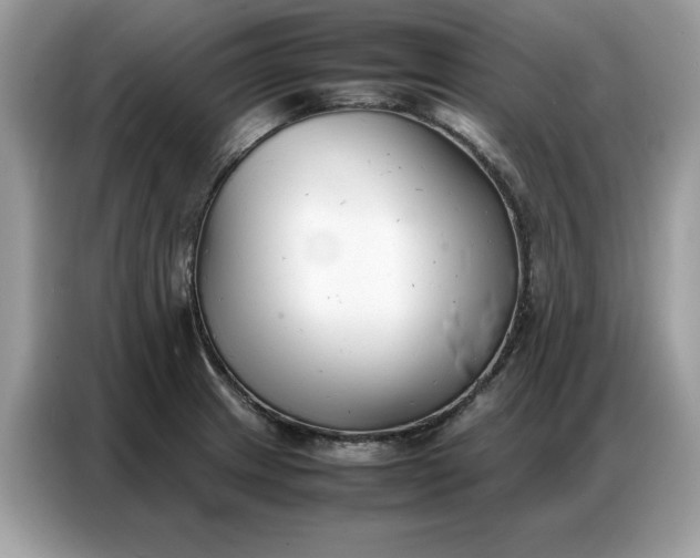 X0000086741233200704271644