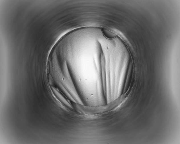 X0000086741236200704271644