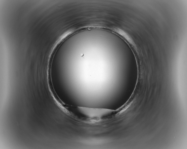 X0000086741237200704271644