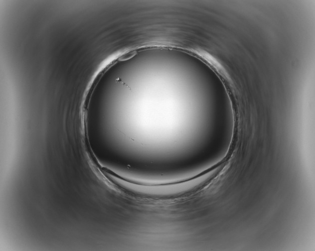 X0000086741238200704271644