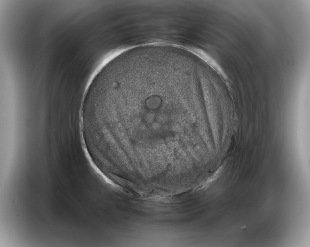 X0000086741239200704271644