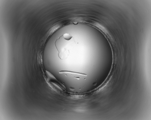 X0000086741241200704271644