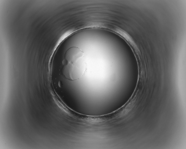 X0000086741242200704271644