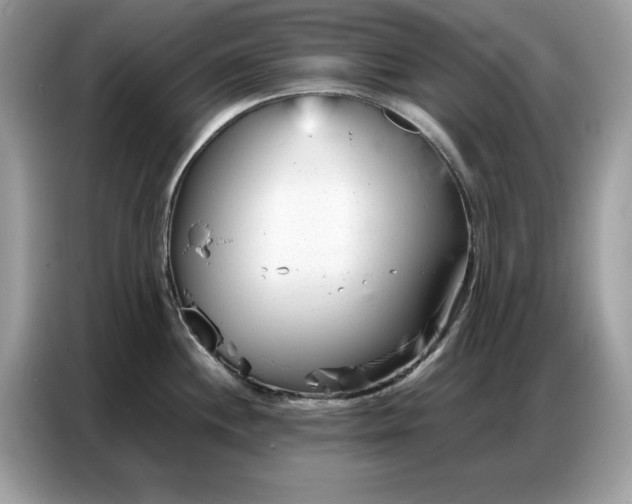 X0000086741244200704271644