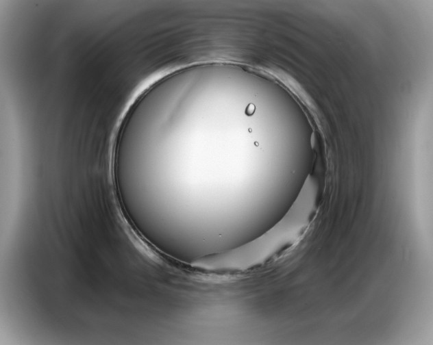 X0000086741246200704271644