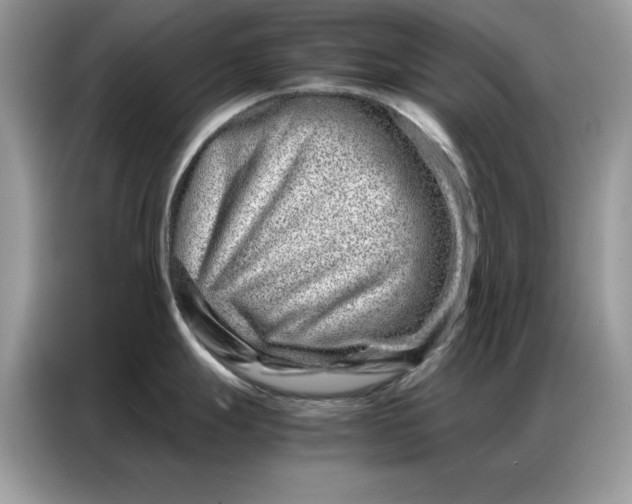 X0000086741247200704271644