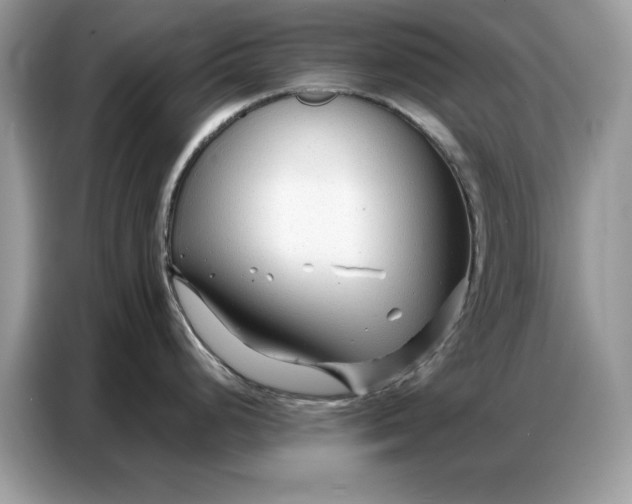 X0000086741248200704271644