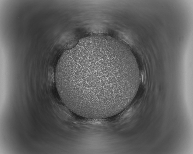 X0000086741251200704271643