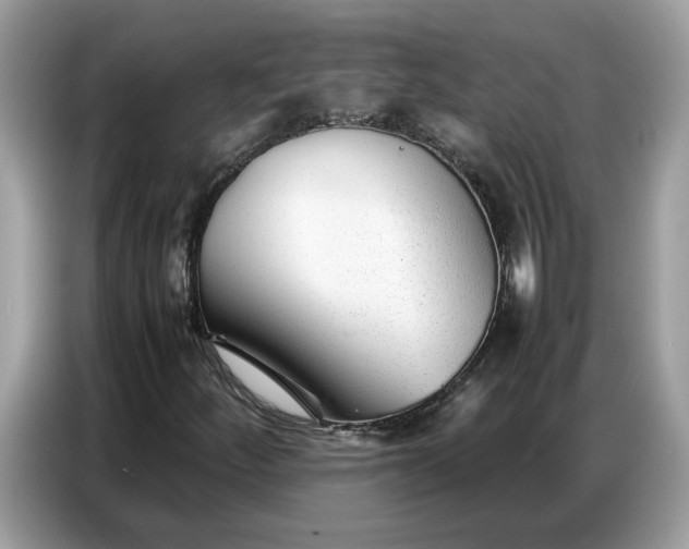 X0000086741252200704271643