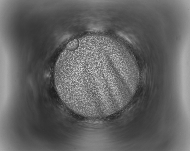 X0000086741254200704271643