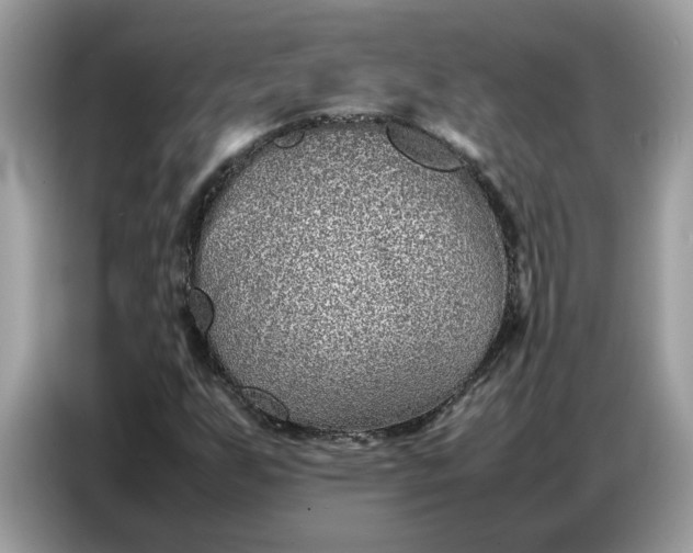 X0000086741255200704271643