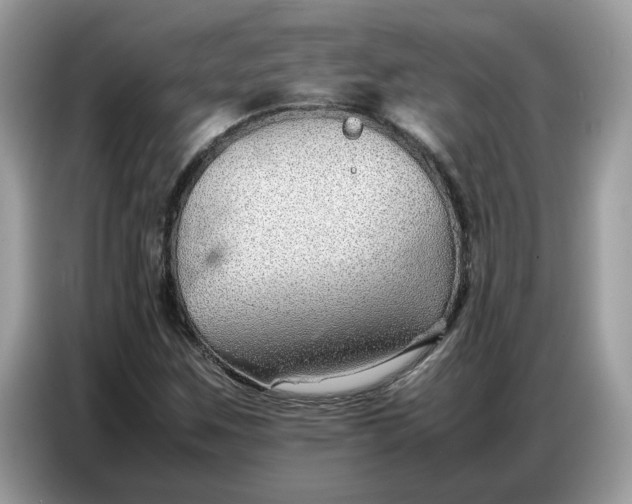 X0000086741259200704271643