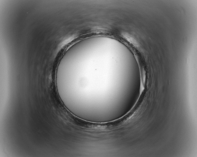 X0000086741261200704271643