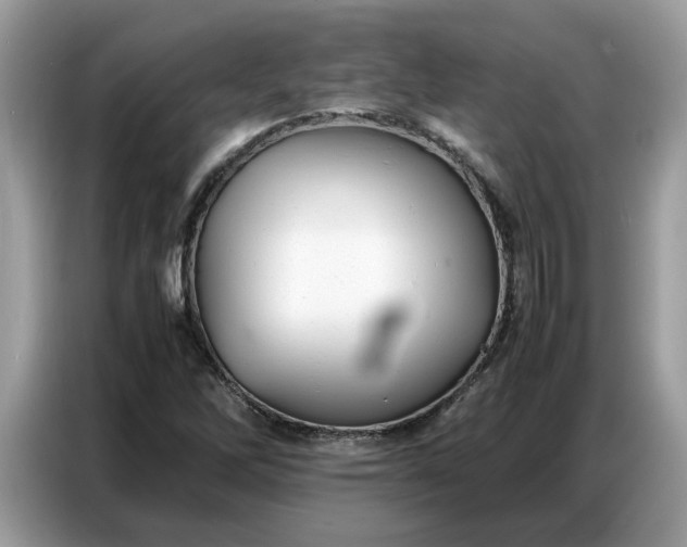 X0000086741262200704271643