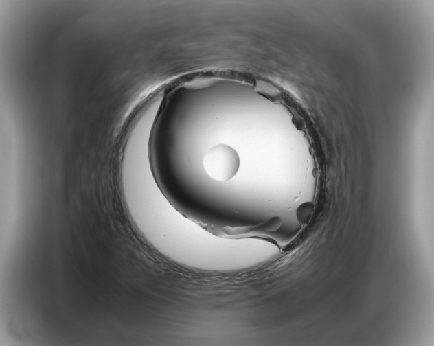 X0000086741263200704271643