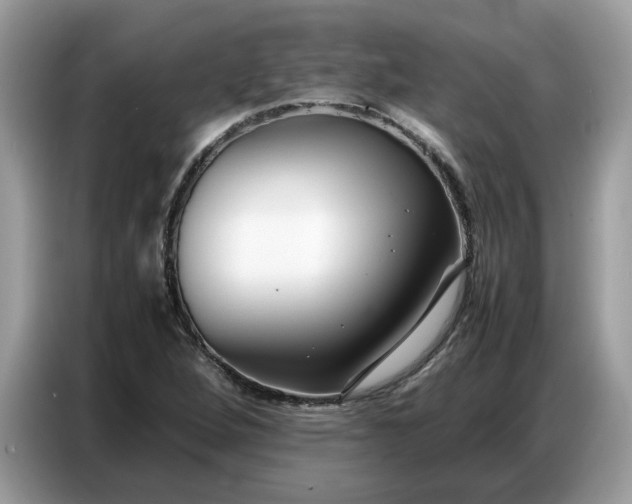 X0000086741264200704271643