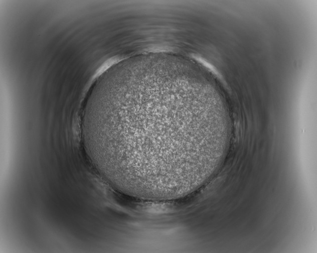 X0000086741266200704271643