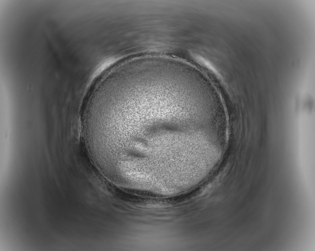 X0000086741267200704271643