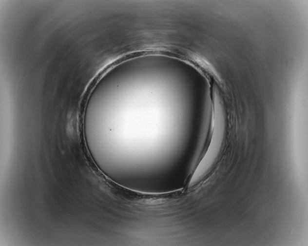 X0000086741268200704271643