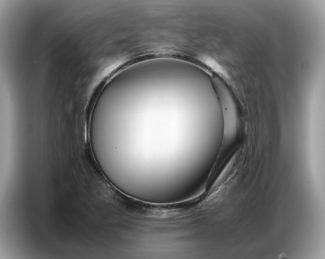 X0000086741269200704271643