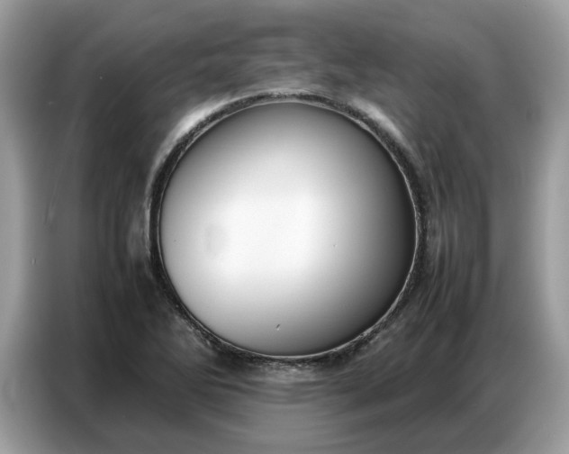 X0000086741270200704271643