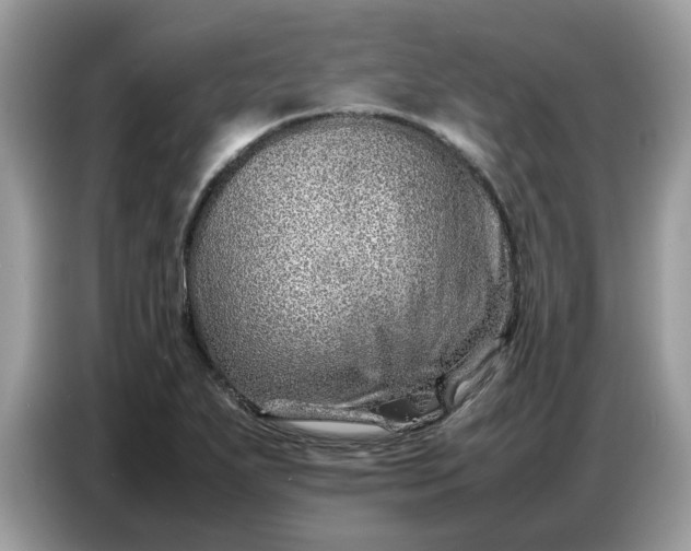 X0000086741271200704271643