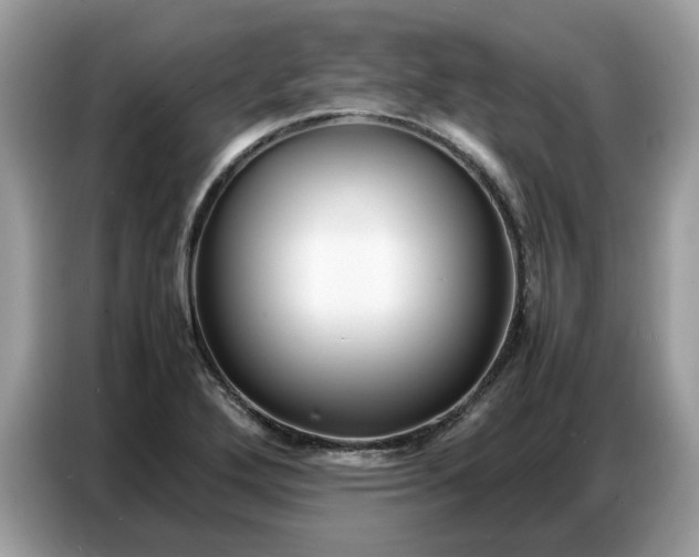 X0000086741272200704271643