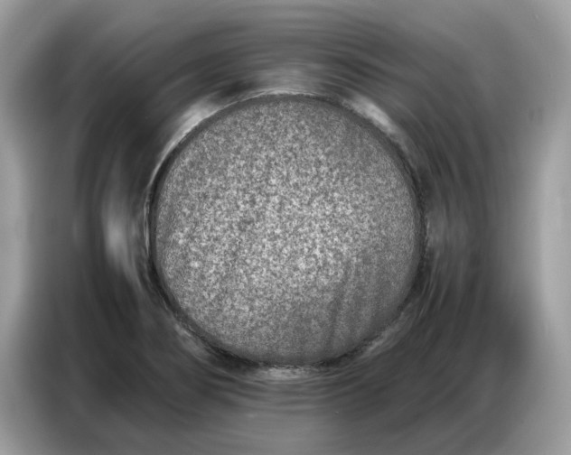 X0000086741274200704271643