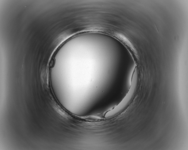 X0000086741276200704271643