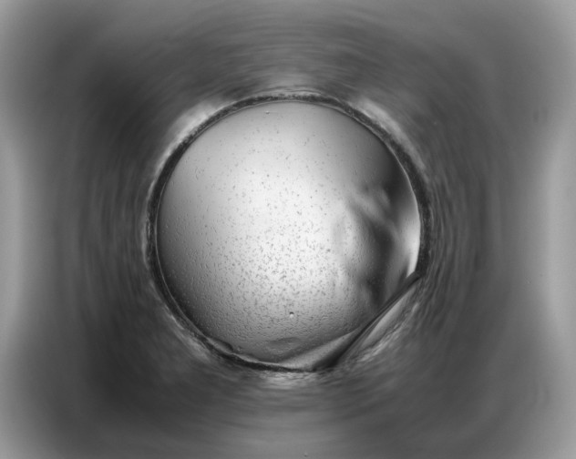 X0000086741277200704271643