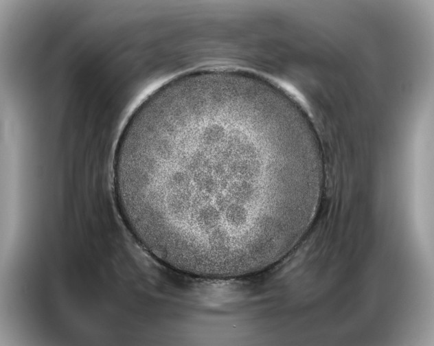 X0000086741279200704271643