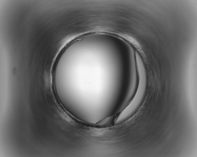 X0000086741280200704271643