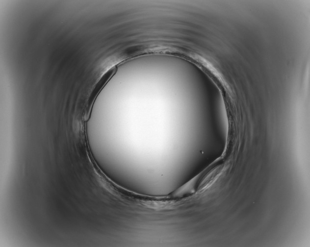 X0000086741281200704271643