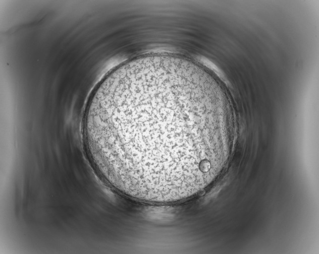 X0000086741282200704271643