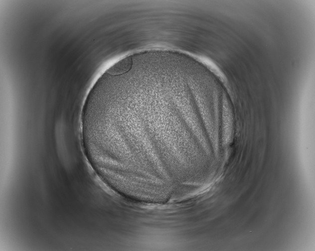 X0000086741287200704271643