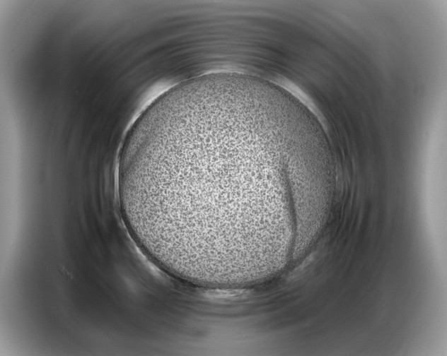 X0000086741290200704271643