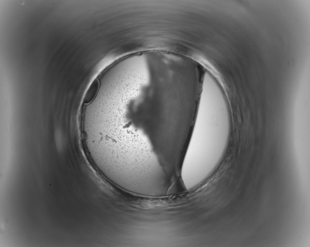 X0000086741291200704271643