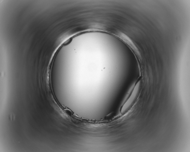 X0000086741292200704271643