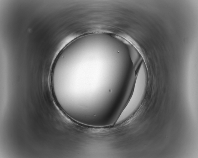 X0000086741293200704271643