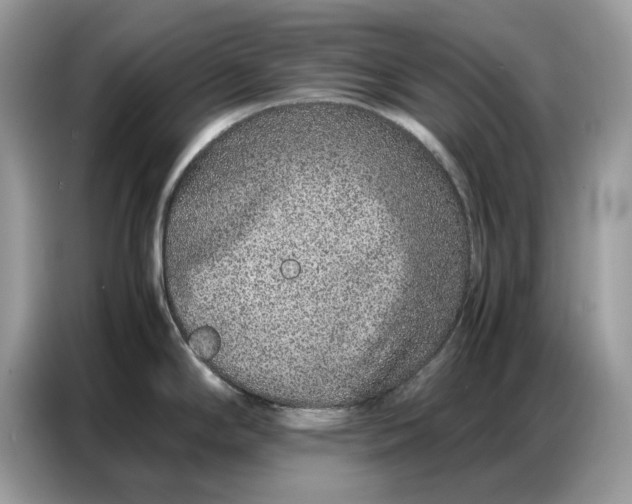 X0000086741294200704271643