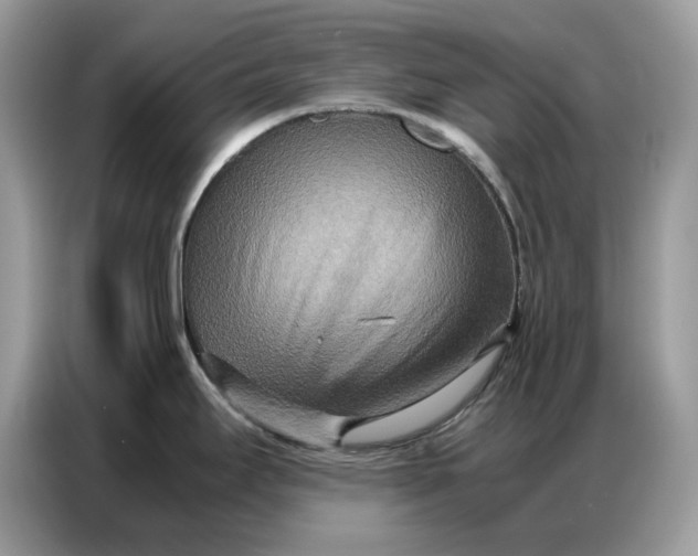 X0000086741295200704271643