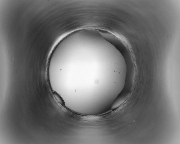 X0000086741296200704271643