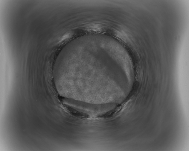 X0000086741297200704271642