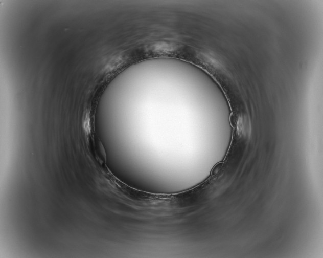 X0000086741299200704271642