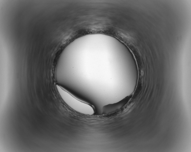 X0000086741300200704271642