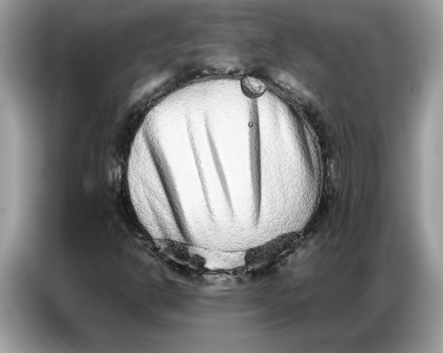 X0000086741302200704271642