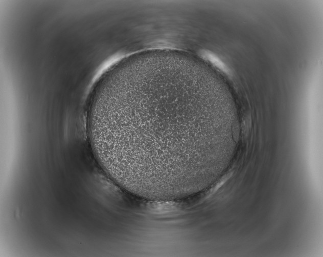 X0000086741310200704271642