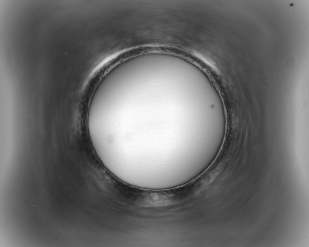 X0000086741311200704271642