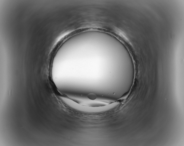 X0000086741312200704271642