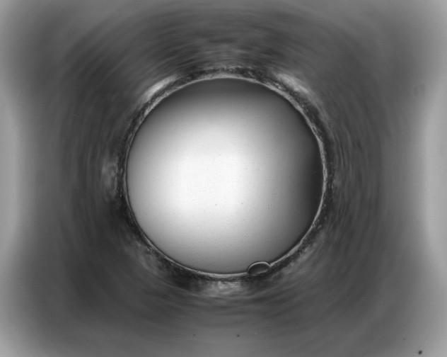 X0000086741313200704271642